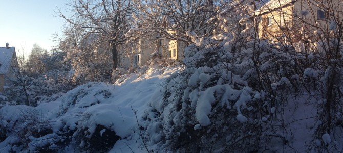 Winterpause